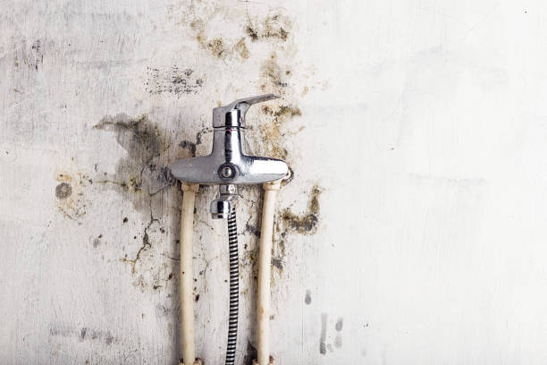 Best Mold Cleaning Services  in Baker, LA