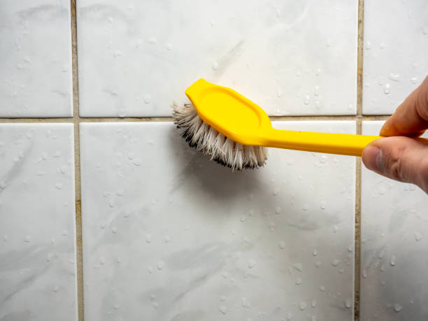 Professional Mold Removal in Baker, LA