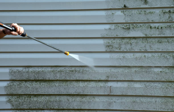 Best Affordable Mold Removal  in Baker, LA