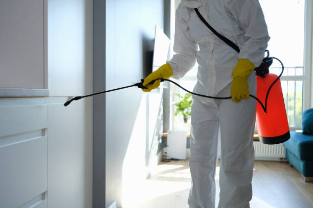 Best Toxic Mold Removal  in Baker, LA